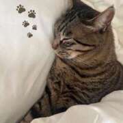 ヒメ日記 2025/04/05 09:48 投稿 ふうか☆濡れたぎるおま◯こ…… 妹系イメージSOAP萌えフードル学園 大宮本校