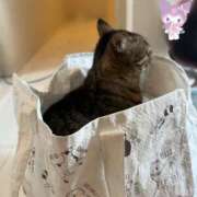 ヒメ日記 2025/07/25 02:21 投稿 ふうか☆濡れたぎるおま◯こ…… 妹系イメージSOAP萌えフードル学園 大宮本校