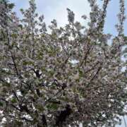 ヒメ日記 2026/04/13 20:19 投稿 ふうか☆濡れたぎるおま◯こ…… 妹系イメージSOAP萌えフードル学園 大宮本校