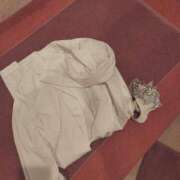 ヒメ日記 2025/05/02 09:53 投稿 みつき☆止まらないリピート数♪ 妹系イメージSOAP萌えフードル学園 大宮本校