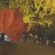 ヒメ日記 2025/11/08 11:32 投稿 みつき☆止まらないリピート数♪ 妹系イメージSOAP萌えフードル学園 大宮本校