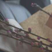 ヒメ日記 2026/03/17 12:57 投稿 みつき☆止まらないリピート数♪ 妹系イメージSOAP萌えフードル学園 大宮本校