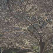 ヒメ日記 2026/04/01 05:51 投稿 みつき☆止まらないリピート数♪ 妹系イメージSOAP萌えフードル学園 大宮本校