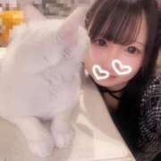 あむ お洋服👗👚💕 まだ舐めたくて学園渋谷校〜舐めたくてグループ〜