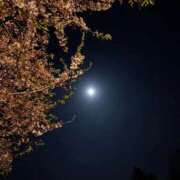 ヒメ日記 2025/04/28 03:21 投稿 みく☆超敏感ドエロ娘 じゃむじゃむ