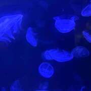 ヒメ日記 2025/05/27 02:41 投稿 みく☆超敏感ドエロ娘 じゃむじゃむ