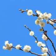 ヒメ日記 2025/03/02 15:45 投稿 まどか ママれもん錦糸町店