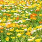 ヒメ日記 2025/05/12 18:27 投稿 まどか ママれもん錦糸町店