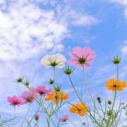 ヒメ日記 2025/09/01 17:47 投稿 まどか ママれもん錦糸町店