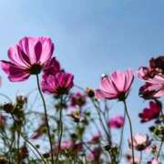 まどか ☺️ ママれもん錦糸町店