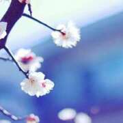 ヒメ日記 2026/01/08 16:57 投稿 まどか ママれもん錦糸町店