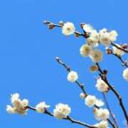 ヒメ日記 2026/02/02 18:27 投稿 まどか ママれもん錦糸町店