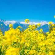 ヒメ日記 2026/02/15 18:37 投稿 まどか ママれもん錦糸町店