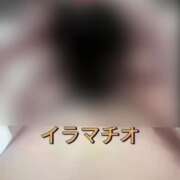 ヒメ日記 2025/01/24 02:10 投稿 菜穂(なほ) 神戸DOUCE