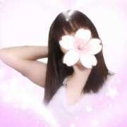 ヒメ日記 2025/04/17 10:12 投稿 舞原四季 札幌ソフィア