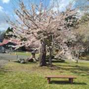 ヒメ日記 2025/05/04 11:19 投稿 舞原四季 札幌ソフィア