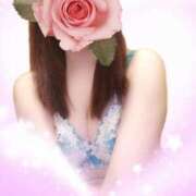 ヒメ日記 2025/06/03 06:33 投稿 舞原四季 札幌ソフィア