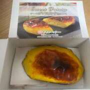 ヒメ日記 2026/01/08 01:36 投稿 綾瀬さくら 札幌ソフィア