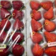 ヒメ日記 2026/02/19 11:57 投稿 綾瀬さくら 札幌ソフィア