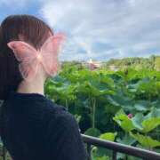 ヒメ日記 2025/07/20 19:19 投稿 かぐら ノーハンドの人妻　上野店