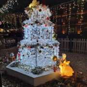 ヒメ日記 2024/12/25 06:08 投稿 まき 池袋で熟女の風俗 マダムいやーん