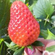 ヒメ日記 2025/02/15 09:30 投稿 まき 池袋で熟女の風俗 マダムいやーん