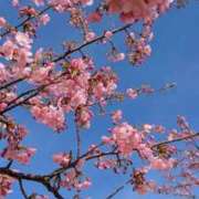 ヒメ日記 2025/02/26 10:28 投稿 まき 池袋で熟女の風俗 マダムいやーん