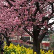 ヒメ日記 2025/03/22 11:33 投稿 まき 池袋で熟女の風俗 マダムいやーん