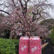 ヒメ日記 2025/04/02 11:04 投稿 まき 池袋で熟女の風俗 マダムいやーん