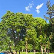 ヒメ日記 2025/05/09 10:02 投稿 まき 池袋で熟女の風俗 マダムいやーん