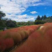 ヒメ日記 2025/10/11 09:54 投稿 まき 池袋で熟女の風俗 マダムいやーん