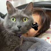 ヒメ日記 2025/11/22 09:47 投稿 まき 池袋で熟女の風俗 マダムいやーん