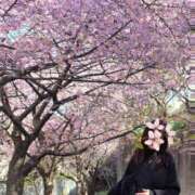 まき ついに💦💦 池袋で熟女の風俗 マダムいやーん