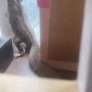 ヒメ日記 2024/12/31 14:22 投稿 さとみ パリス雄琴店