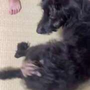 ヒメ日記 2025/08/10 17:22 投稿 さとみ パリス雄琴店