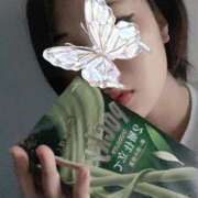 ヒメ日記 2025/08/13 14:02 投稿 さとみ パリス雄琴店