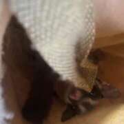 ヒメ日記 2025/08/16 06:21 投稿 さとみ パリス雄琴店