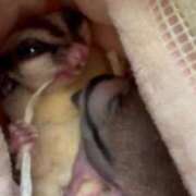 ヒメ日記 2025/09/06 14:19 投稿 さとみ パリス雄琴店