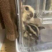 ヒメ日記 2025/09/14 19:15 投稿 さとみ パリス雄琴店