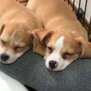 ヒメ日記 2025/09/21 01:12 投稿 さとみ パリス雄琴店