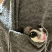 ヒメ日記 2025/10/10 09:08 投稿 さとみ パリス雄琴店