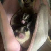 ヒメ日記 2025/10/14 11:38 投稿 さとみ パリス雄琴店