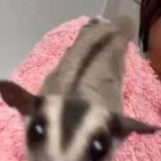 ヒメ日記 2025/10/17 17:04 投稿 さとみ パリス雄琴店