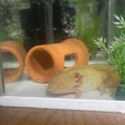 ヒメ日記 2025/10/18 08:13 投稿 さとみ パリス雄琴店