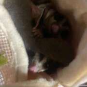 ヒメ日記 2025/10/19 11:02 投稿 さとみ パリス雄琴店