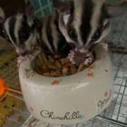 ヒメ日記 2025/10/25 11:22 投稿 さとみ パリス雄琴店