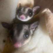 ヒメ日記 2025/11/03 13:02 投稿 さとみ パリス雄琴店