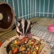 ヒメ日記 2025/11/04 10:13 投稿 さとみ パリス雄琴店