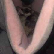 ヒメ日記 2025/12/15 11:02 投稿 さとみ パリス雄琴店