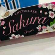 ヒメ日記 2025/03/23 22:11 投稿 ひなた 人妻倶楽部内緒の関係 春日部店